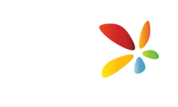 - SEO Dominicana